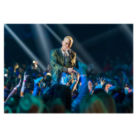 Fotografie Eminem at MTV Movie Awards 2014, Christopher Polk, 40 × 26.7 cm