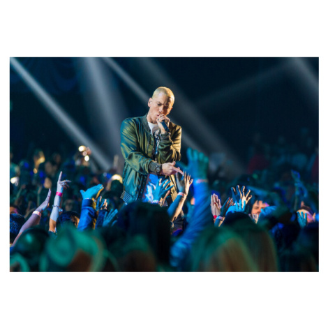 Fotografie Eminem at MTV Movie Awards 2014, Christopher Polk, 40 × 26.7 cm