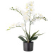 Umělá květina (výška 84 cm) Orchid – Bloomingville