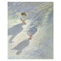 Obrazová reprodukce Against the Slope, Timothy Easton, 30 × 40 cm