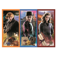 Trefl Puzzle Harry Potter Ve světě magie a kouzel 200 dílků