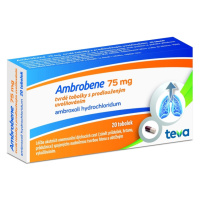 AMBROBENE 75 mg tobolky s prodlouženým uvolňováním 20 kusů