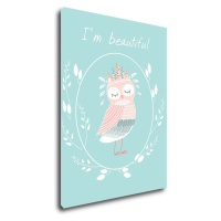 Impresi Obraz I'm beautiful owl - 30 x 40 cm