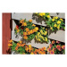 Asko a.s. Květináč HENRY nástěnný - v/š/hl: 93 x 116 x 18 cm