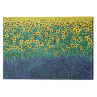 Obraz na plátně David Clapp - Sunflowers in Provence, France, - 80x60 cm