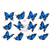 "Motýli modré 12ks" - A4