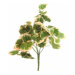 Umělý svazek Tricolor geranium, 48 listů