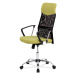 Kancelářská židle BLAUR, černá/zelená