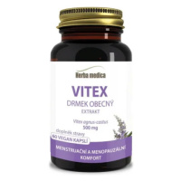 Vitex Drmek obecný extrakt 500mg cps.60