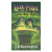 Harry Potter a princ dvojí krve - Joanne K. Rowlingová