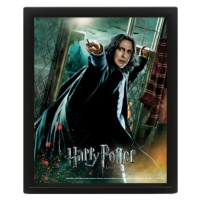 3D obraz Harry Potter Snape