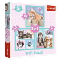 Trefl Puzzle Sladká koťátka/3v1 (20,36,50 dílků)