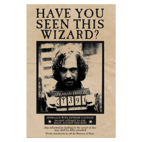 Plakát, Obraz - Harry Potter - Wanted Sirius Black, (80 x 120 cm)