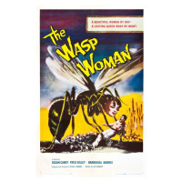 Ilustrace Wasp Woman, 26.7 × 40 cm