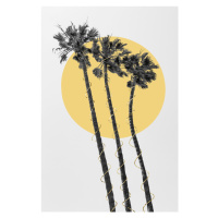 Fotografie Palm Trees In The Sun, Melanie Viola, 26.7 × 40 cm