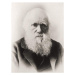 Fotografie Charles Darwin, English School,, 30 × 40 cm