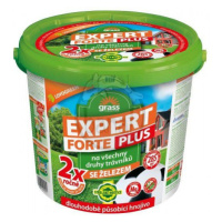 Expert plus-FORTE/10 kg/