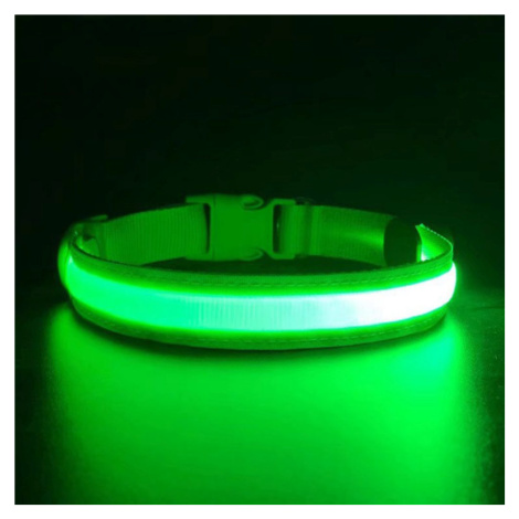 Reedog Flash USB svíticí obojek pro malé, střední a velké psy - Zelená XL