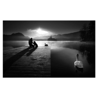 Fotografie A peaceful morning at the lake, 40 × 24.6 cm