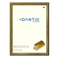 DANTIK rámeček 50 × 70, ANIVERSA zlatý plexi čiré