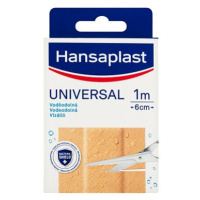 HANSAPLAST Universal 1 m x 6 cm