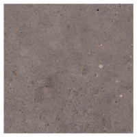 Dlažba Pastorelli Biophilic dark grey 60x60 cm protiskluz P009505