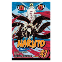 Naruto, Vol. 47: The Seal Destroyed - Masashi Kishimoto - kniha z kategorie Sci-fi, fantasy a ko