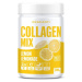 DESCANTI Collagen Mix Lemon & Lemonade 300 g