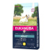 EUKANUBA Adult Small Breed 3 kg