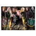 Puzzle Harry Potter Wizarding World Educa 1000 dílků a Fix lepidlo