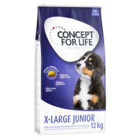 Concept for Life granule, 12 kg - 10 % sleva - X-Large Junior