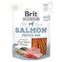 Brit Jerky Salmon Protein Bar - 80 g