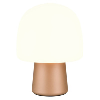 Stolní lampa v bílo-bronzové barvě se skleněným stínidlem (výška 27 cm) Steen – Trio