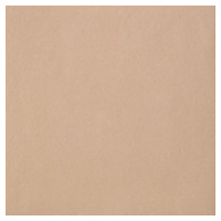 Dlažba Porcelaingres Just Beige light brown 60x60 cm mat X600127