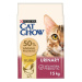 Purina Cat Chow Urinary Tract Health kuře 15kg