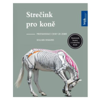 Strečink pro koně - Protahovací cviky ze země