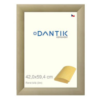 DANTIK rámeček 42 × 59,4, René bílý plexi čiré