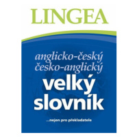 Velký anglicko-český, česko anglický slovník