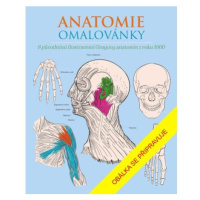 Anatomie omalovánky