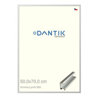 DANTIK rámeček 50 × 70, ALU profil 7269 Stříbrný matný plexi čiré