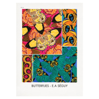 Ilustrace Butterflies 18, Studio Collection, (30 x 40 cm)