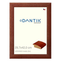 DANTIK rámeček 29,7 × 42, LEDVINKA hnědý plexi čiré