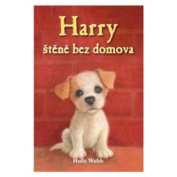 Harry, štěně bez domova - Sophy Williams, Holly Webb