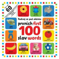 Prvních 100 slov / First 100 words - Podívej se pod obrázek