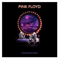 Pink Floyd: Delicate Sound Of Thunder - DVD