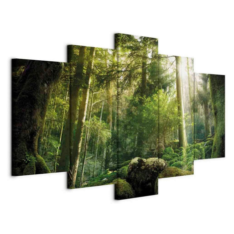 artgeist MALBA NA PLÁTNĚ, Landschaft und Natur, stromy cm