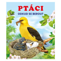 Ptáci | Kolektiv, Kolektiv