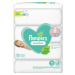 PAMPERS Sensitive XXL Vlhčené ubrousky 4 x 80 ks