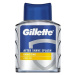 GILLETTE Energizing Citrus Fizz 100 ml