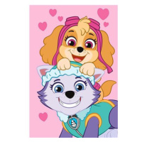 Jerry Fabrics Dětská fleecová deka Paw Patrol PP518 100 × 150 cm